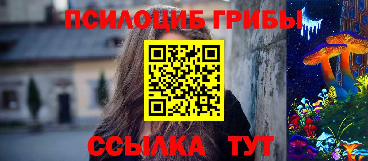 как найти закладки  Псилоцибиновые грибы Psilocybine cubensis  Псилоцибиновые грибы Cubensis  Вход с VPN  Вязьма 