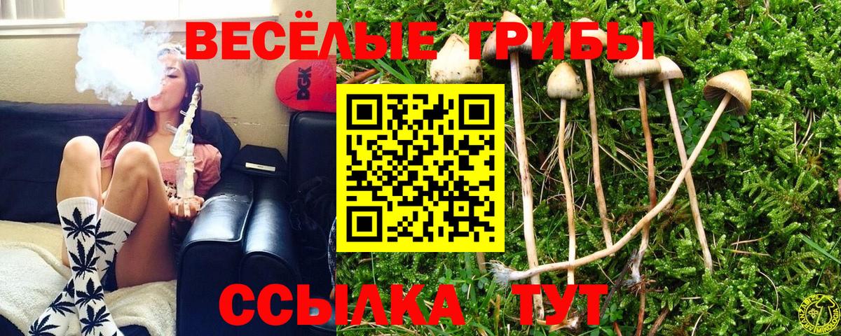 Псилоцибиновые грибы GOLDEN TEACHER Вязьма